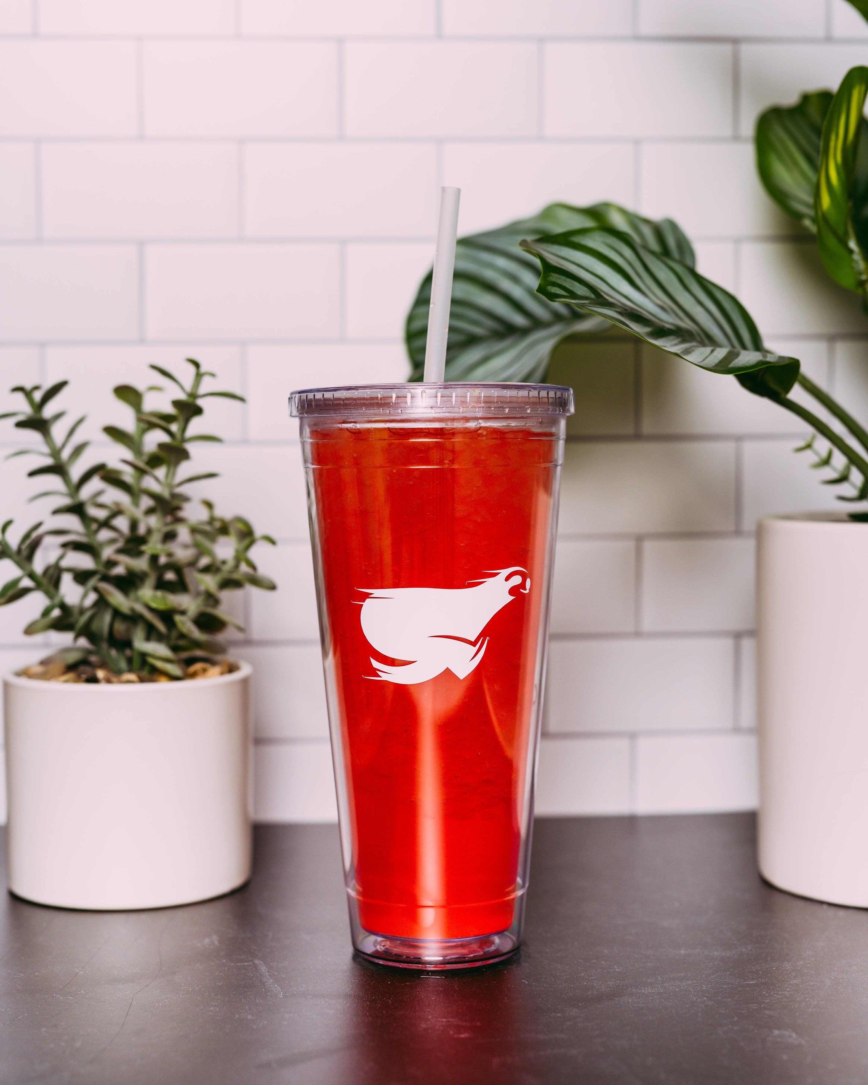 Flamingo - SalTea Sloth