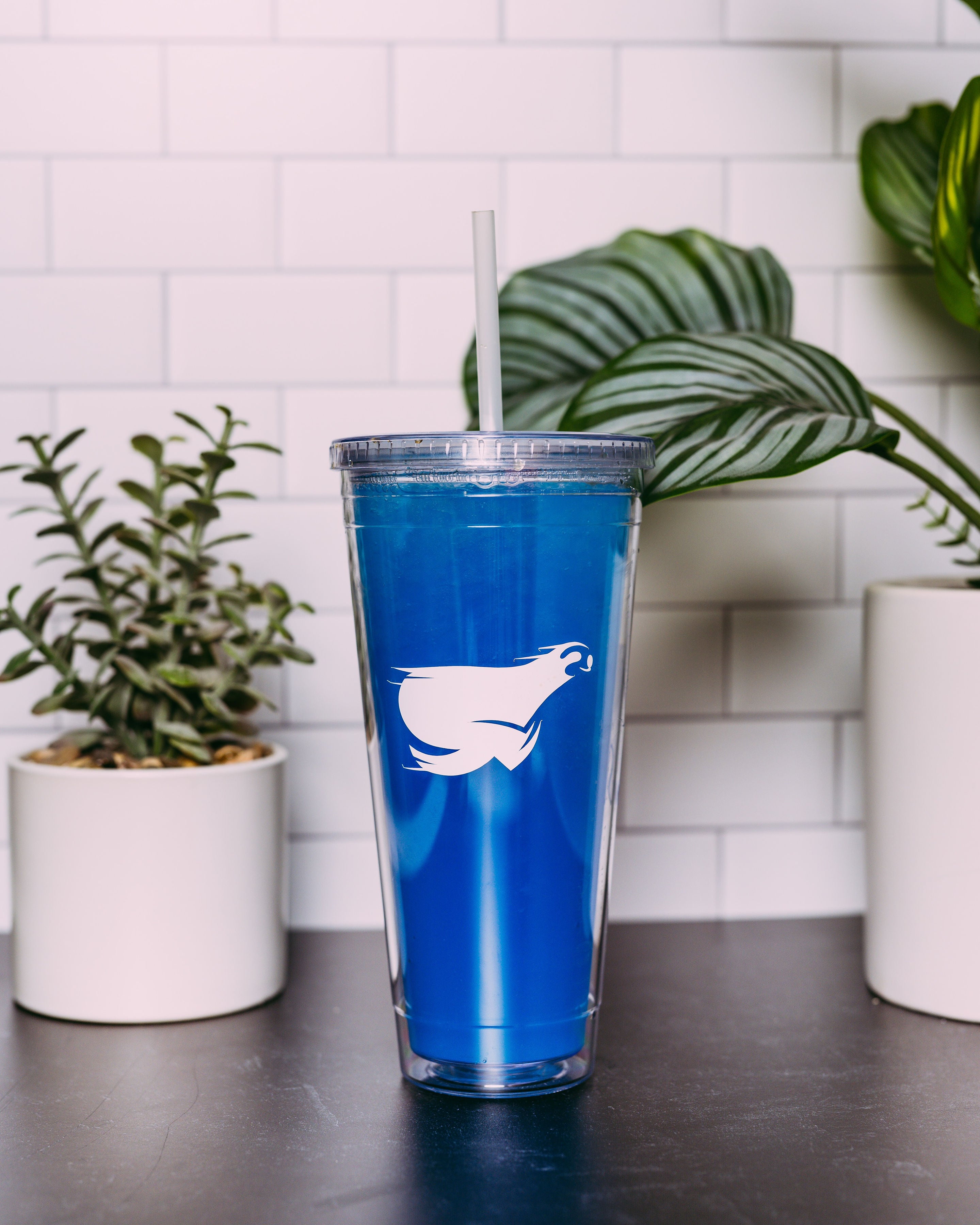 Ocean Water - SalTea Sloth